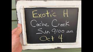 Exotic H - Cache Creek