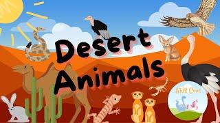 Learn Desert Animals Names and Sounds | Real life animal videos and sounds!