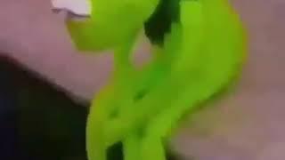 KERMIT THE FROG COMMITS SUICIDE ( MEME )