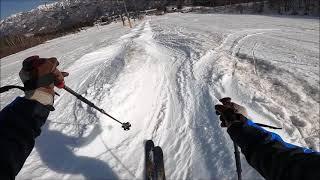 210319hakunori / Telemarkski / NTN / Blastrack stylus / Scarpa TXpro / Rottefella Freedom