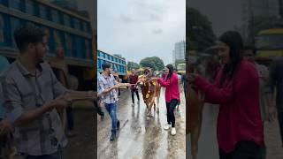 আমাদের কোরবানীর গরু নিয়ে বাসায় যাচ্ছি | Qurbani Eid | Gorur Haat | Rakib Hossain #comedy #vlog