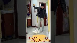 Mua 2 chú cún con tặng cho vợ