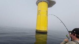 We Went Back To the Offshore Windfarm and caught 10+ Species