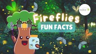  Amazing Firefly Facts! Discover How Fireflies Glow!  | Fun Facts for Kids