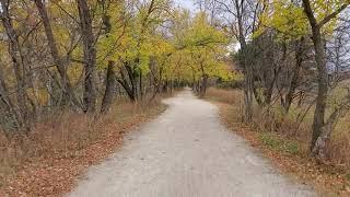Fall Colours by Mary-Grace Tesoro Winnipeg, Manitoba Canada