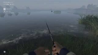 Fishing Planet Сазан на донки.Дельта Сан Хоакин!