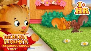 Let's Learn About Animals | Daniel Tiger