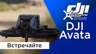 Встречайте - DJI Avata (на русском)