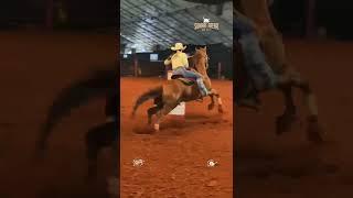 Sumaré Arena Music 2023 #cavalo #cavalos #rodeios #rodeio #trestambores #sumare #animais #rodeo