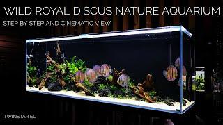 Wild ROYAL Discus Nature Aquarium of 200x60x70cm at Twinstar EU