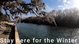 "Escape the Chill: Explore Florida's Winter warmth at Salt Springs in Ocala National Forest