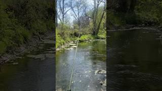 THIS IS WHY I FISH! #tenkara #fishing #fishingmethod #flyfishing #wisconsin #driftless #isolation