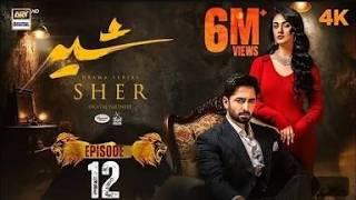 SHER Episode no 12 Sarah Khan Danish Taimoor -ARY drama digital review