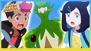 Liko & Roy's Encounter with Arboliva  Pokémon Horizons: The Series | Netflix After School