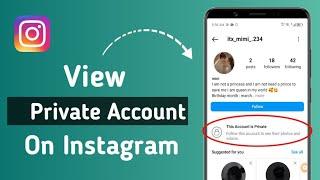 How to View Private Account on Instagram 2024 (in 1-Minute)