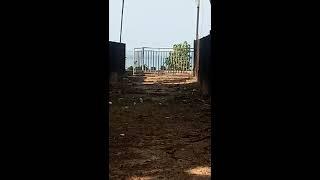 (sold)MALVAN BEACH TOUCH 11.5 GUNTHE PLOTS AVAILABLE FOR SALE