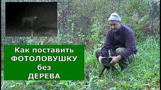 Как поставить фотоловушку без дерева! А Волк то ... - Крыса))))