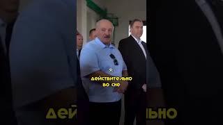 Сон в руку
