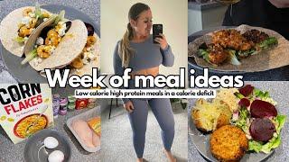 WEEK OF CALORIE DEFICIT MEAL IDEAS for fat loss ( low calorie + high protein)