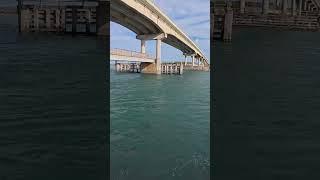 A lot of bait means ALOT OF FISH‼️#snook #inlet #fishing