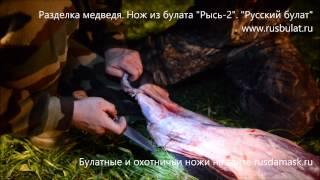 +18 Фильм №8. Разделка медведя булатным ножом "Рысь-2". Компания "Русский булат". Wootz