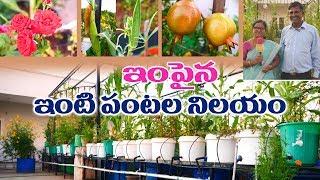 Low Cost Organic Terrace Garden with Available Material ||G Ramana Reddy || Hyderabad|| Rytunestham