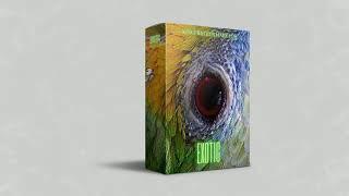 [9+] FREE Exotic Loop Kit - (Nick Mira, KBeazy, LiL Uzi Vert) WITH STEMS