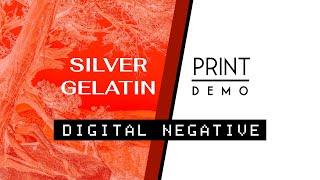 Silver Gelatin with Digital Negative - Print Demo