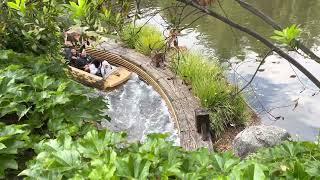 Splash Mountain Drop Zone POV - Disneyland - May 30, 2023 (4k 60fps)