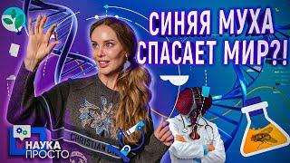 КАК ПОДНЯТЬ ИММУНИТЕТ С ПОМОЩЬЮ МУХИ?! СВЕРХНОВАЯ БИОЛОГИЯ! | Наука Просто