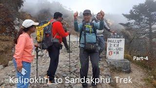 Sandakphu Trek || Kalipokhri to Sandakphu Trek