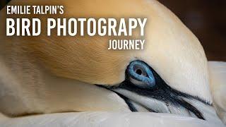 Emilie Talpin's Journey To Becoming A Bird Photographer