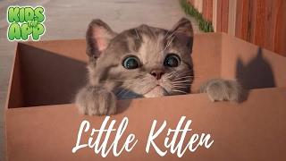 Little Kitten - My Favorite Cat (Fox and Sheep GmbH) - Best App For Kids