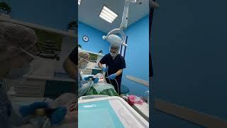 Как проходят наши приемы*видео было снято с согласия пациента #doctor #стоматолог #здоровье  #зубы