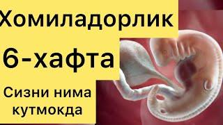 Хомилангиз 6-хафтаси сизни нималар кутмокда