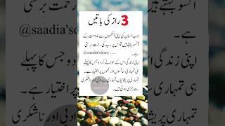 Best motivational quotes in urdu | Sad quotes in urdu | saadia's diary #shorts #edit #viral #quotes