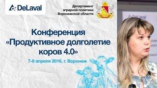 Бабинец О.Ю., Конференция "Продуктивное долголетие коров 4.0". О сухостойном периоде