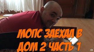 Мопс заехал в Дом-2 или что наговорил Мопс на скрытую камеру.Часть 1