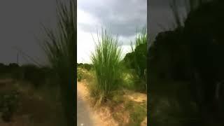 tab tab ya akha khati ha ya bata