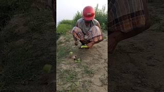 Farmer's Rat Killing 96 #shortsfeed #rattrap #farming #survival #viralvideo #hunt