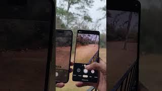 Google Pixel 7 Pro VS iPhone 14 Pro Max Design & Camera Zoom Test!