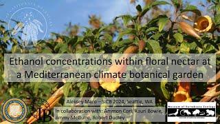 SICB2024 talk: Ethanol concentrations of floral nectar at a Mediterranean climate botanical garden