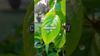Unlocking the Beauty Benefits of Guava Leaves for Clear Skin