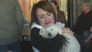 Fundraiser helps save injured animals across the Triad