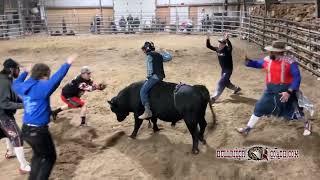 Bull Riding Clinic Rides - November 16, 2024