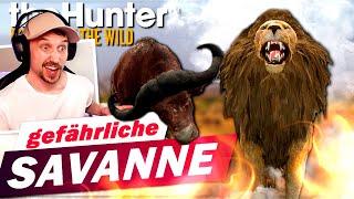 Mit der NITRO gegen die Savanne! theHunter Call of the Wild Deutsch