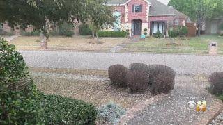 Hail Pelts North Texas During Round Of Severe Storms