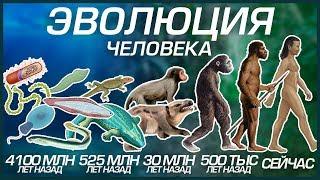 ЭВОЛЮЦИЯ ЧЕЛОВЕКА (ОТ КЛЕТКИ ДО ЧЕЛОВЕКА РАЗУМНОГО)