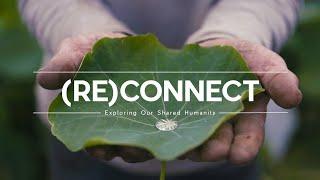 (RE) CONNECT  - Feel A Deep Connection To Wild Places