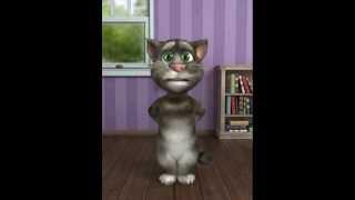 EXO - Wolf (Talking Tom.ver) cover